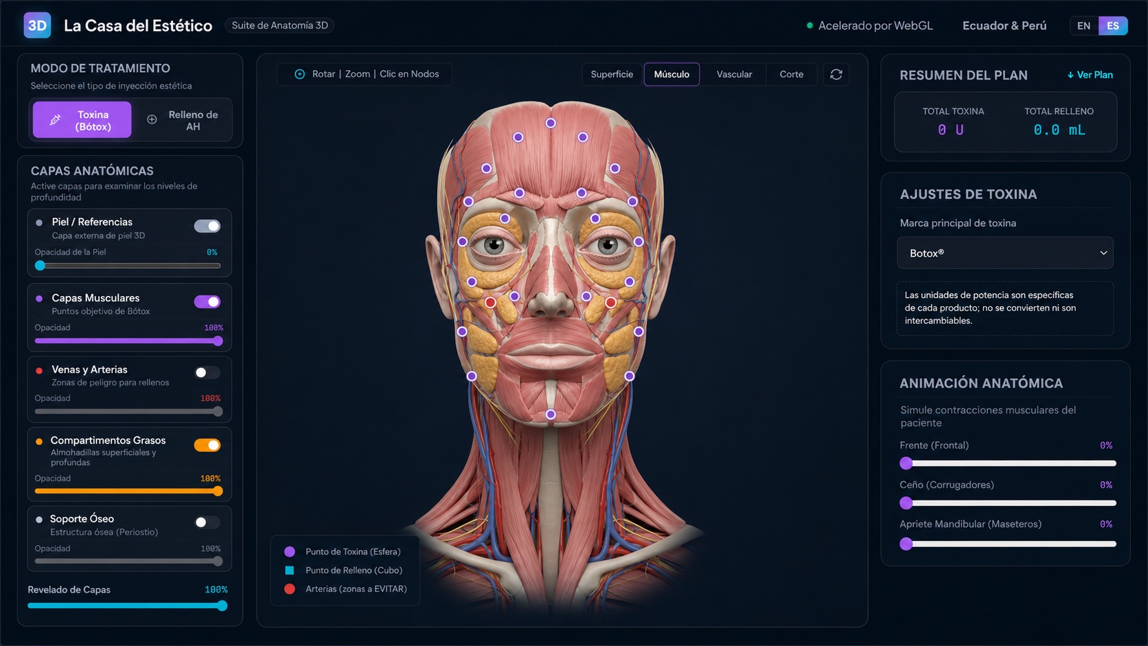 Preview of the professional 3D facial anatomy tool showing muscles, vessels and injection points